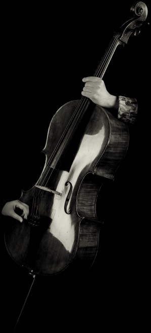 Violoncello